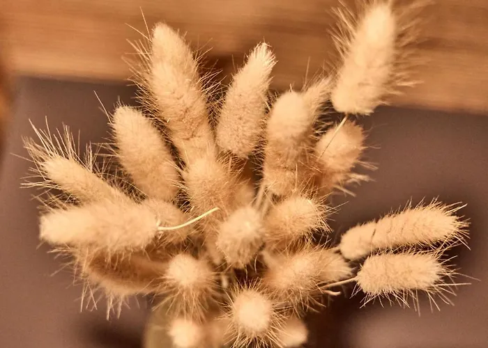 Wood&stone Alpi Apartment